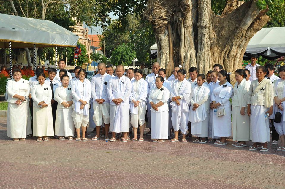 12524333_533294336829958_6517138824976620041_n