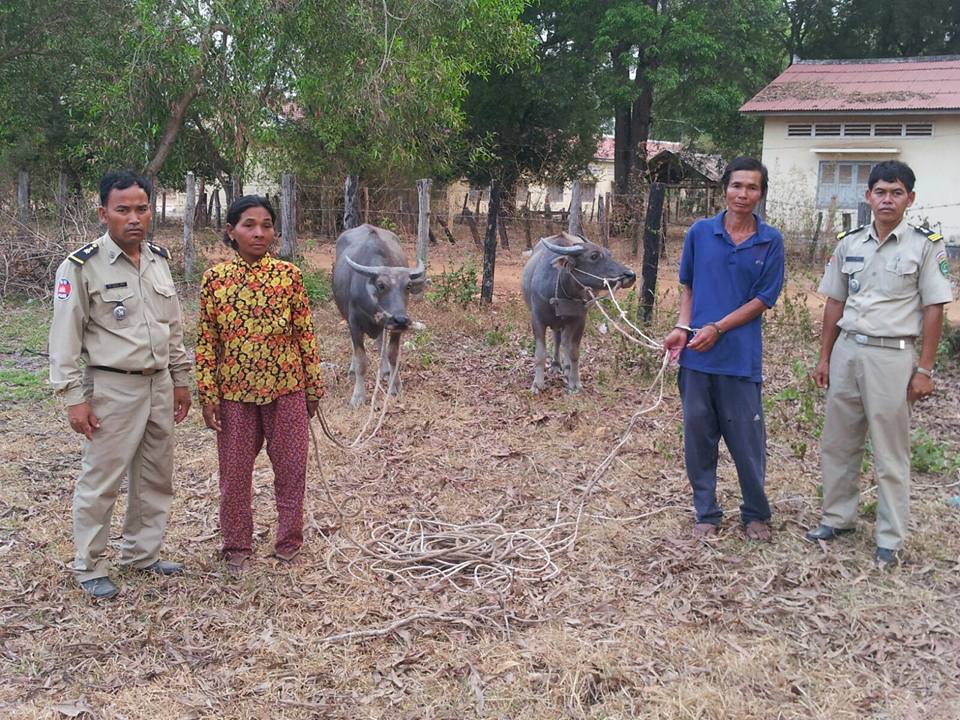 12814473_1671157626467064_7966807312898724636_n