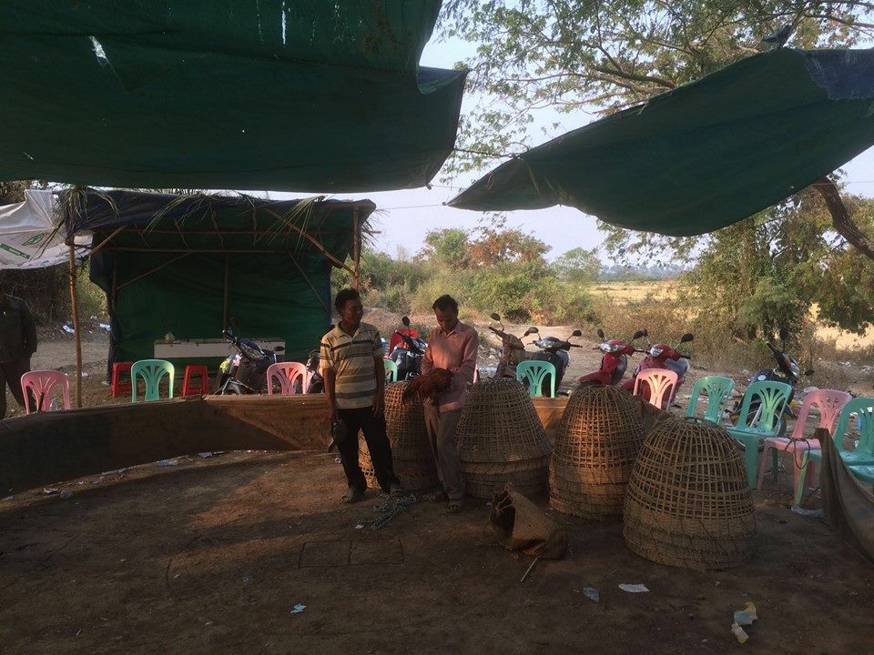 12821540_550189575151921_5646756877189781202_n