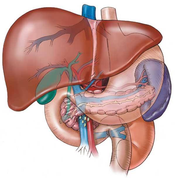 hepatitis_aguda_kumbha_kamala