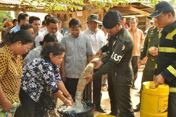 pailin (7)