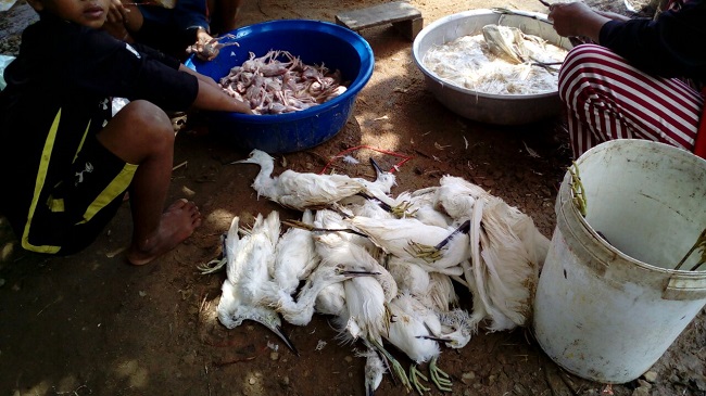 2e98afb7-4c71-4676-a198-4eeaf38c1b6f