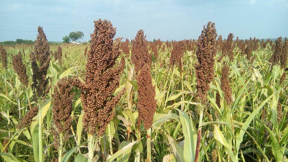 4ea310ec-67c7-42c2-8da5-9b084ce44ba2