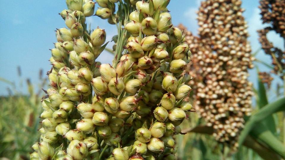 6c7523f4-8a82-4219-a2e8-5f5b6992c7c9