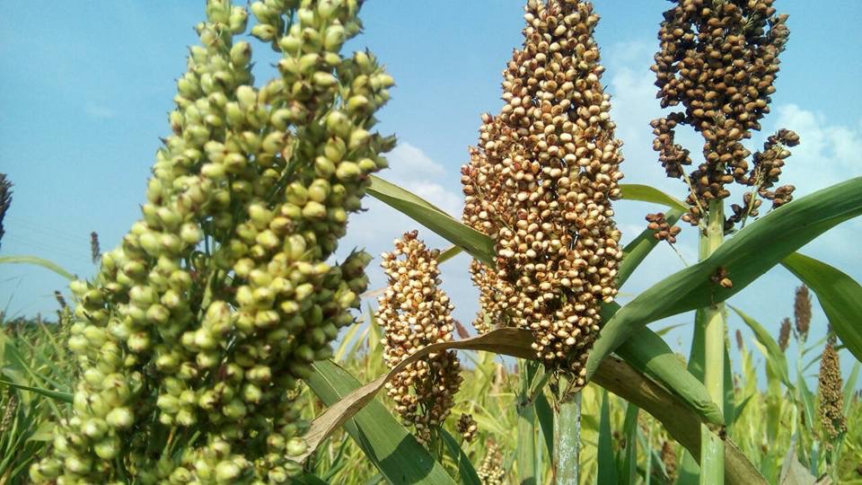 73a253cd-8e82-4b08-abe1-047aadf90ba0