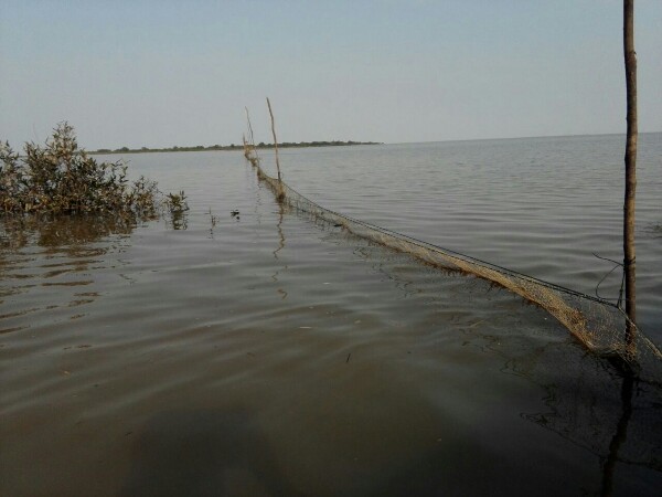 IMG-20170317-WA0038-600x450