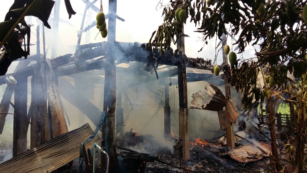 d5ed2c97-dd65-44aa-aa1d-d1bb127924f0